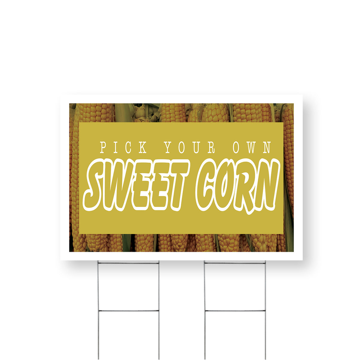 Pick Your Own Sweet Corn