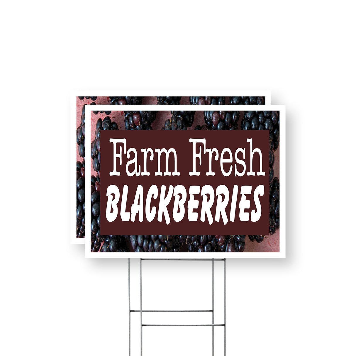 Farm Fresh Blackberries