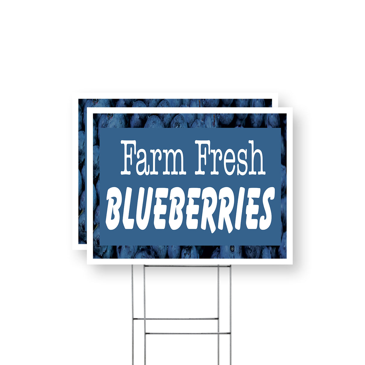 Farm Fresh Blueberries