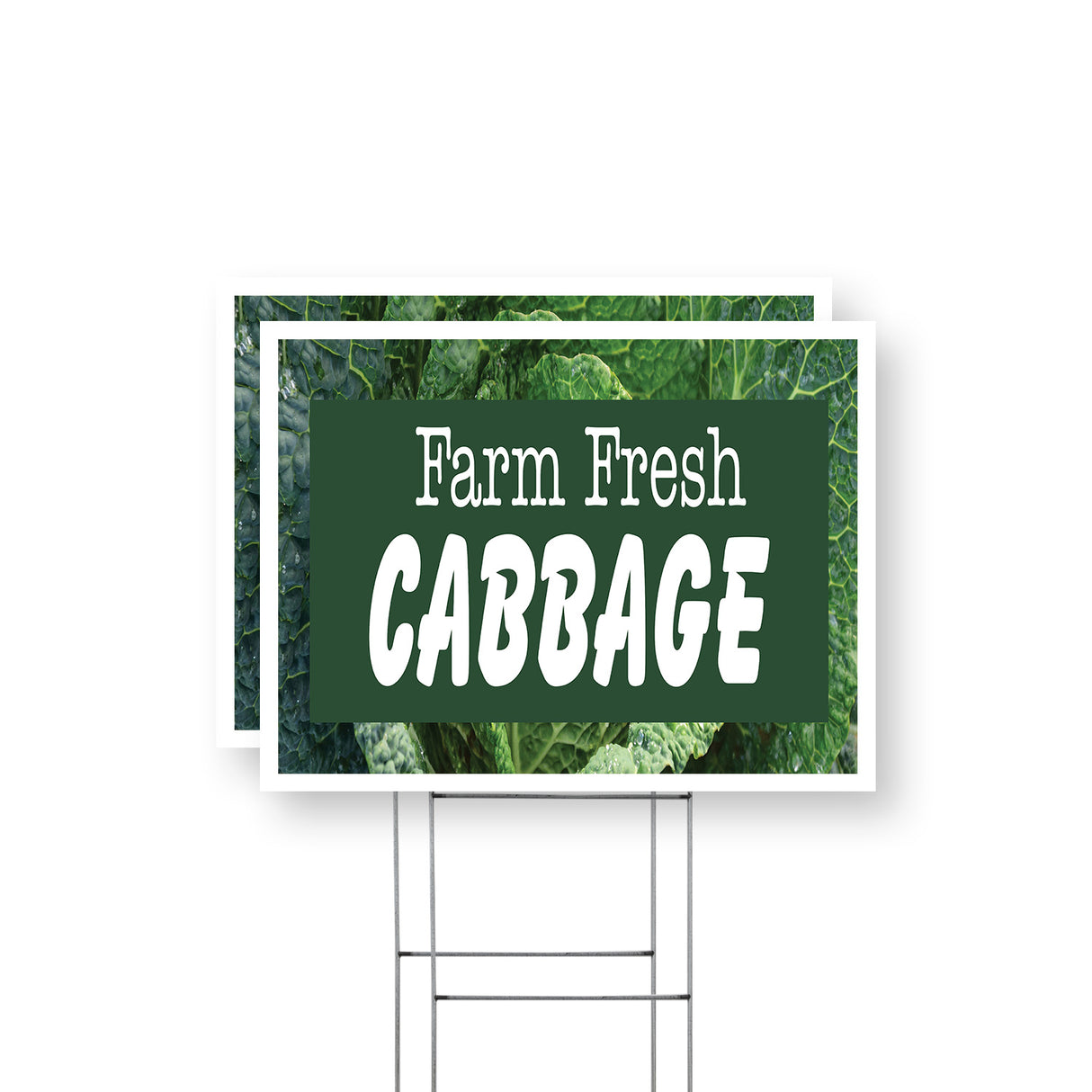 Farm Fresh Cabbage