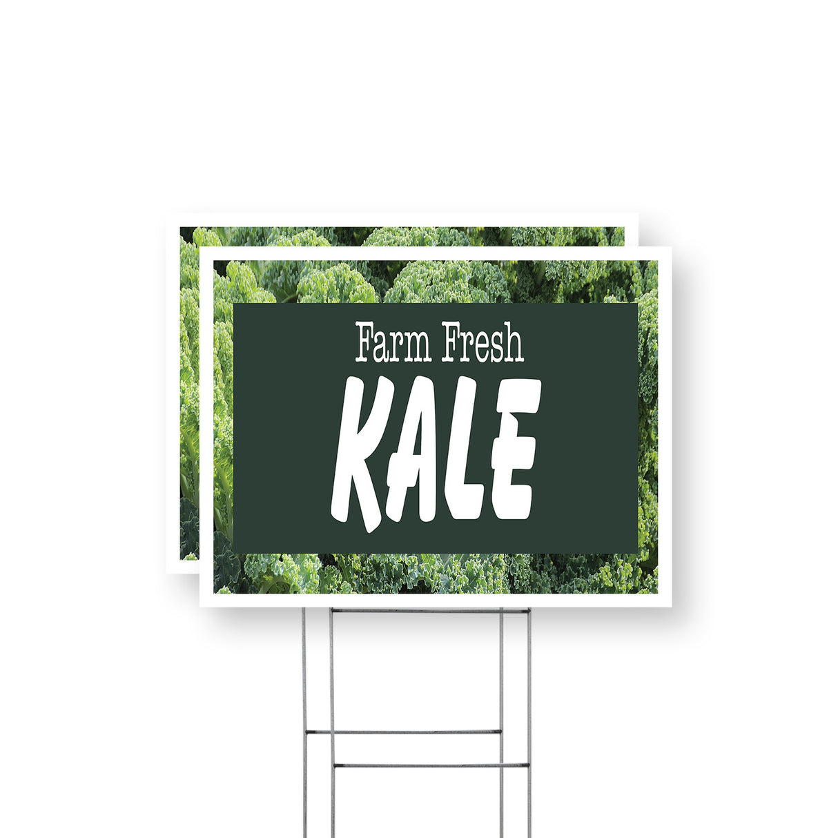 Farm Fresh Kale