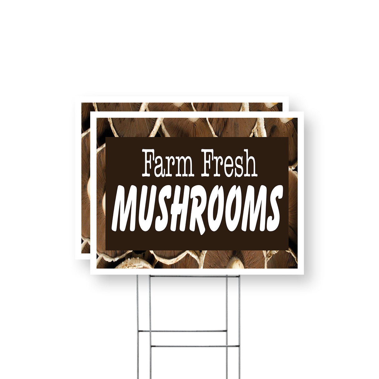 Farm Fresh Mushrooms