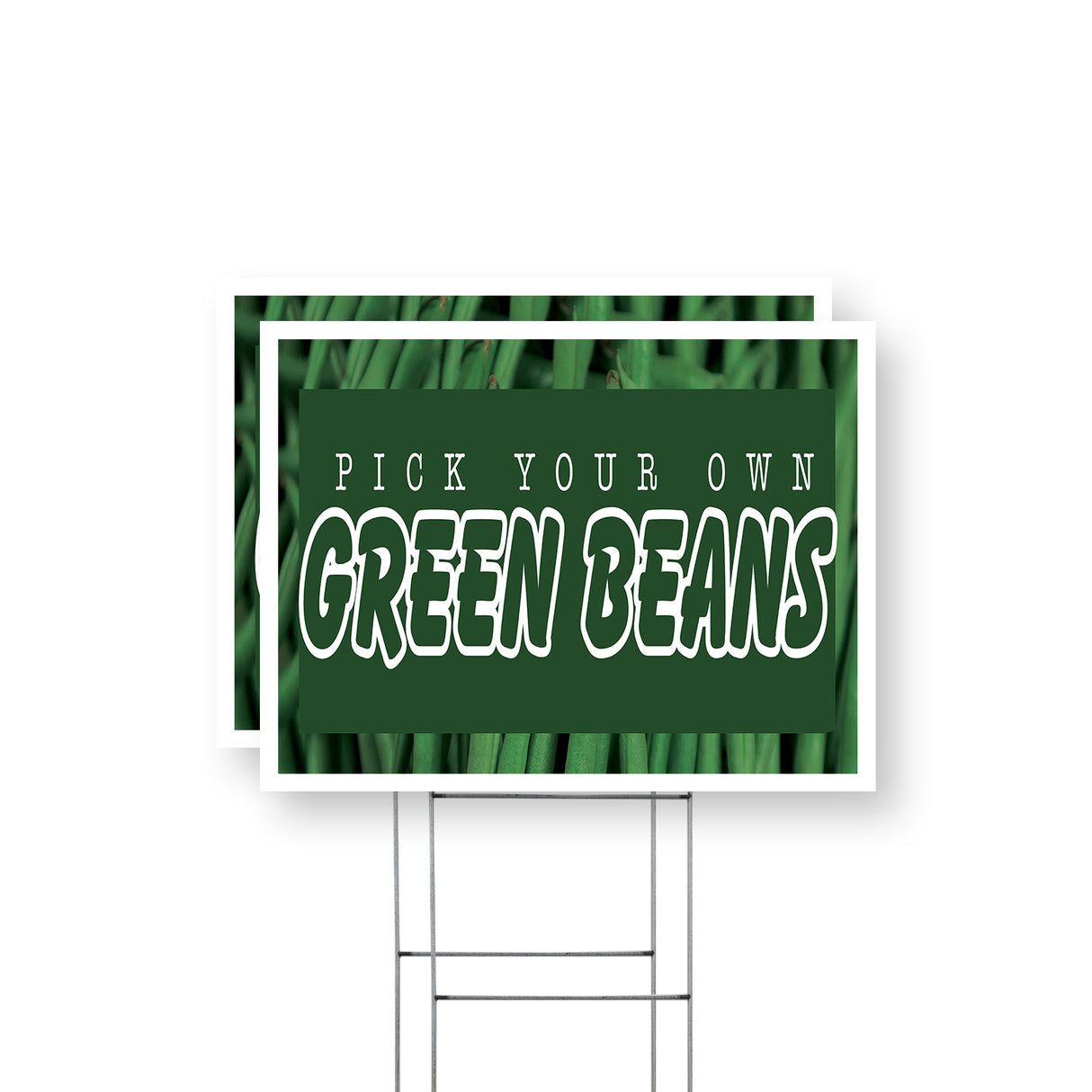 Pick Your Own Green Beans