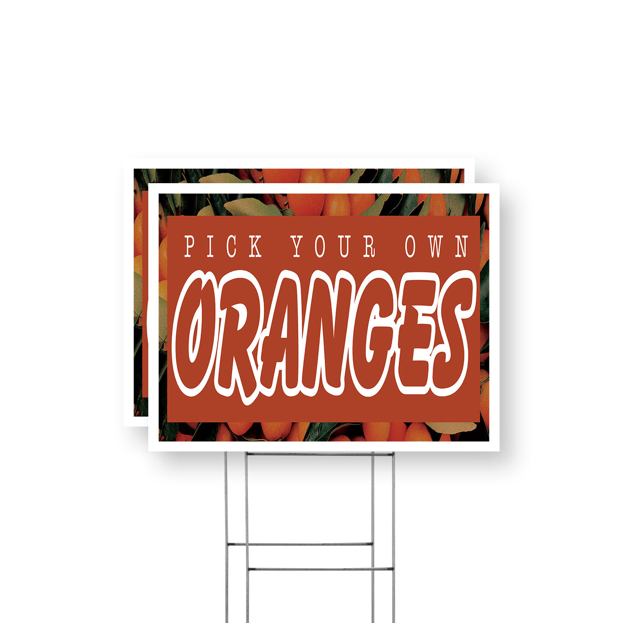 Pick Your Own Oranges