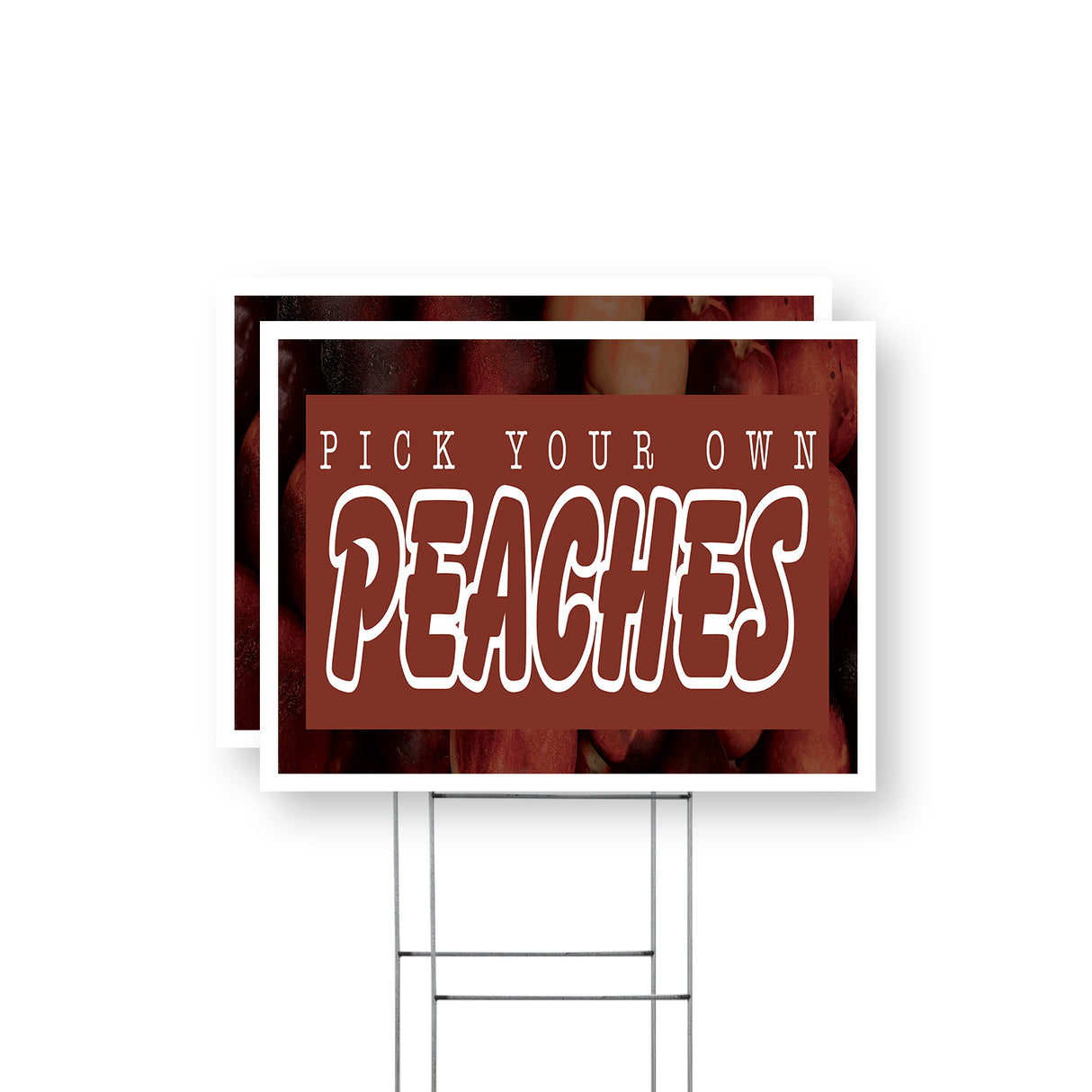 Pick Your Own Peaches