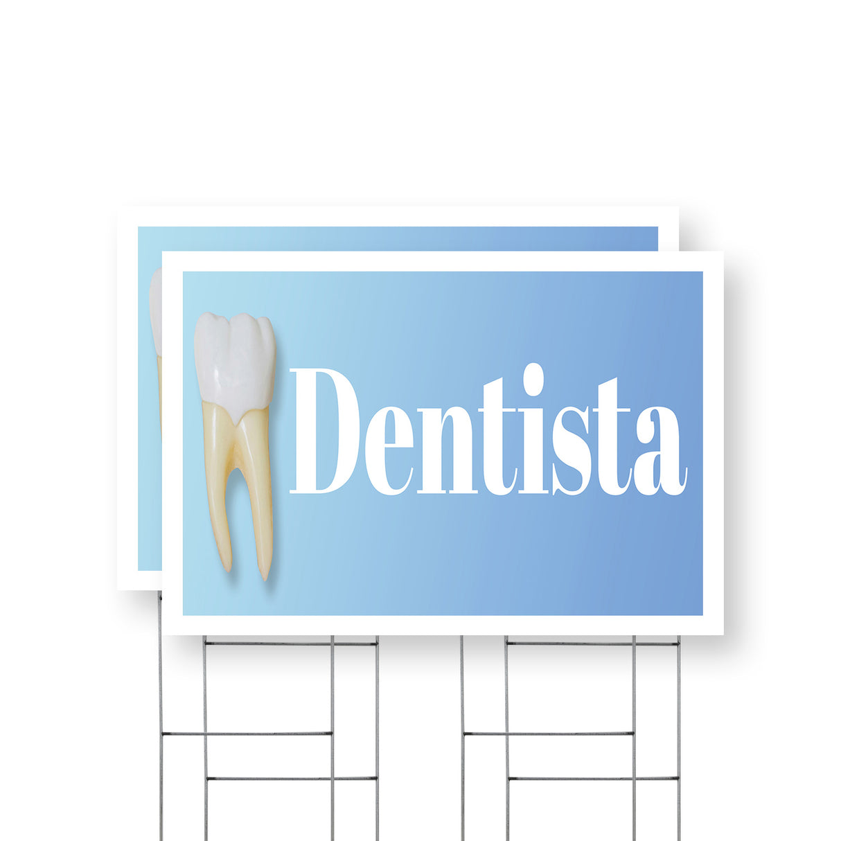 Dentista