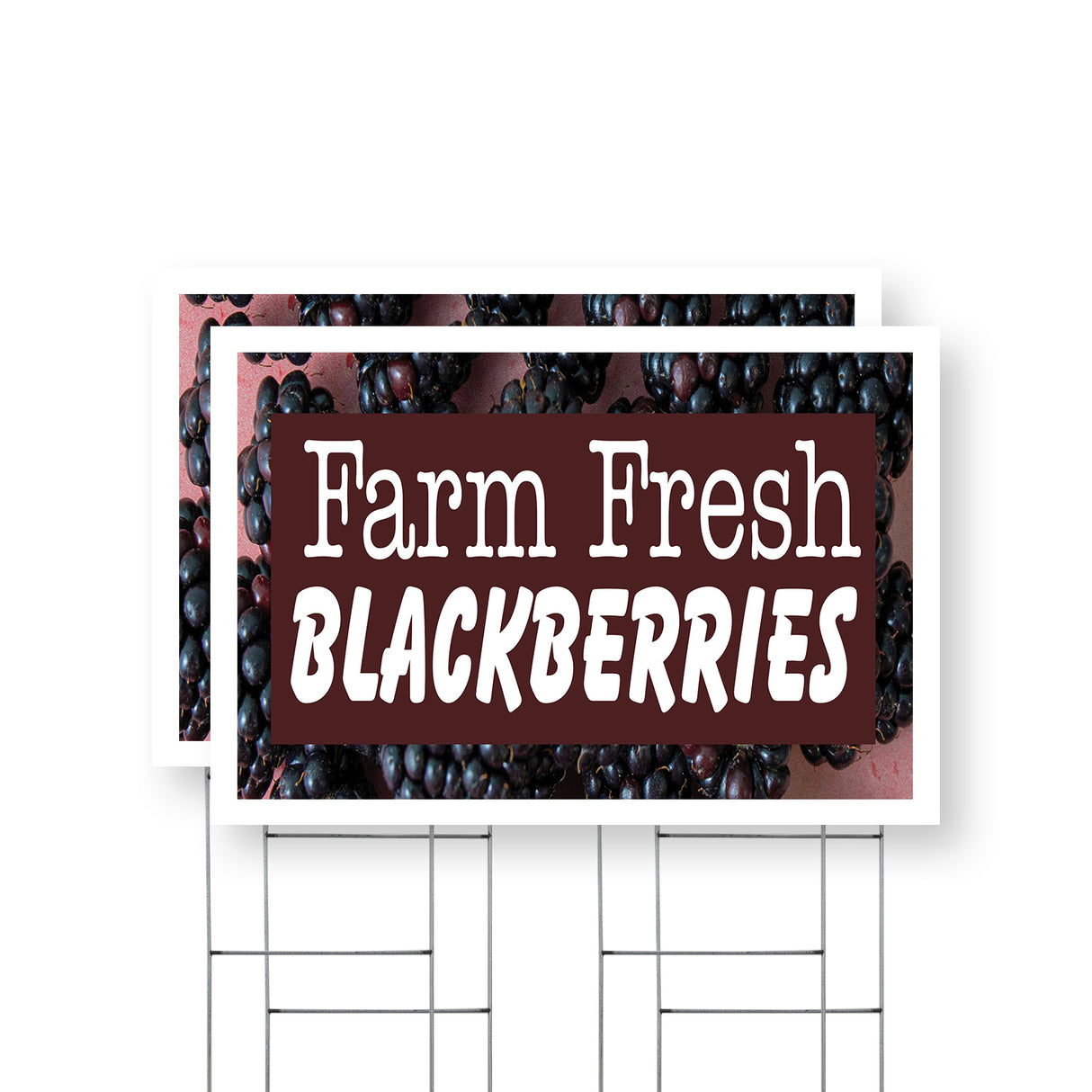 Farm Fresh Blackberries