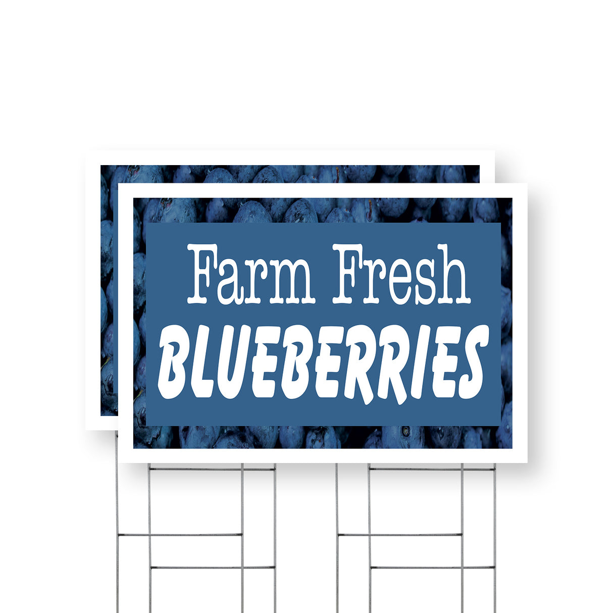 Farm Fresh Blueberries