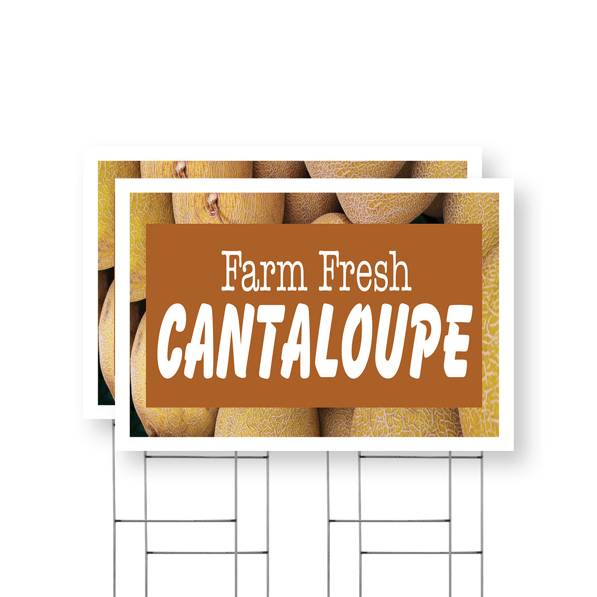 Farm Fresh Cantaloupe