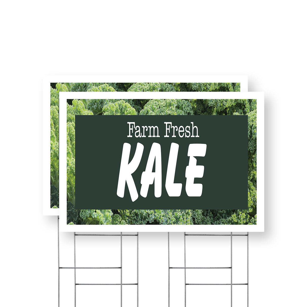 Farm Fresh Kale