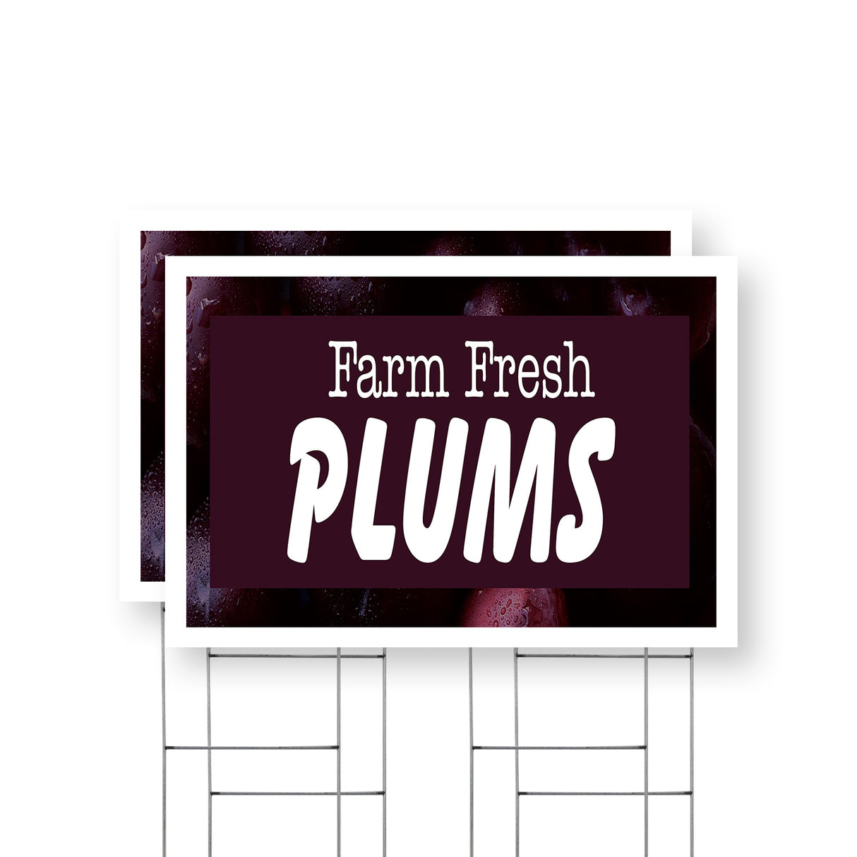 Farm Fresh Plums
