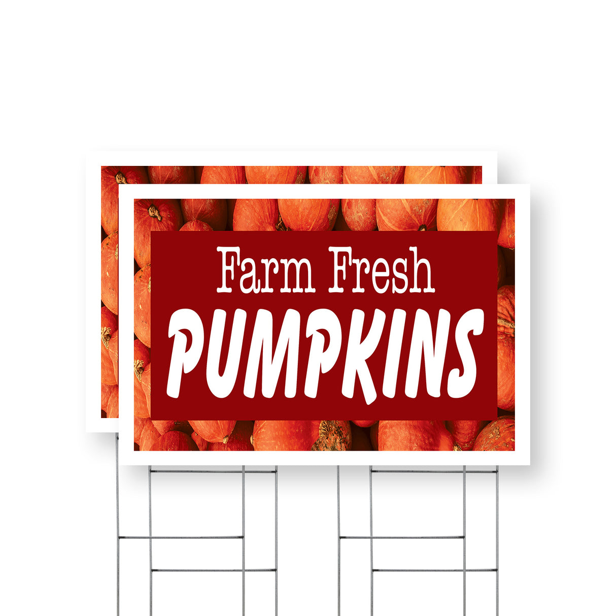 Farm Fresh Pumpkins