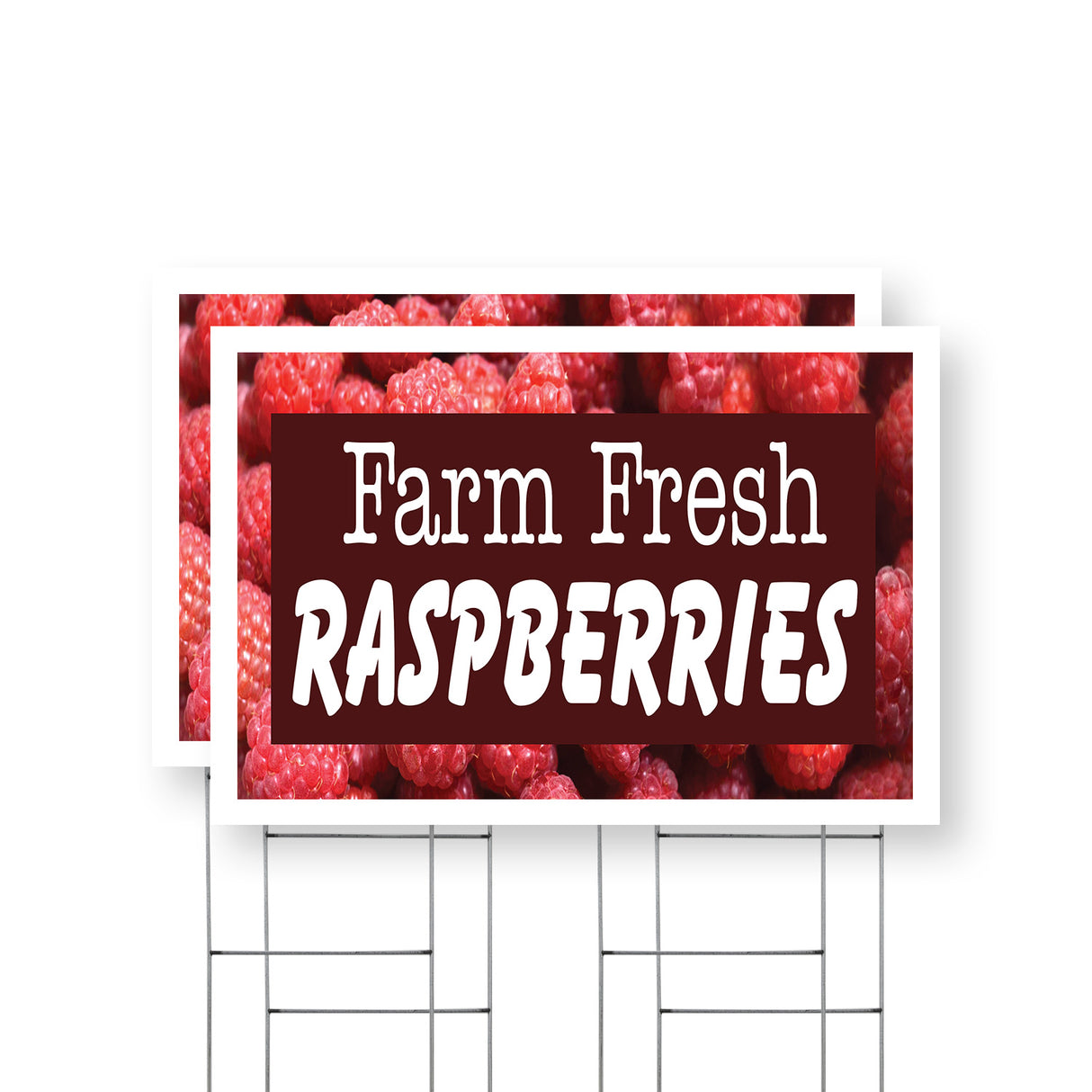 Farm Fresh Raspberries