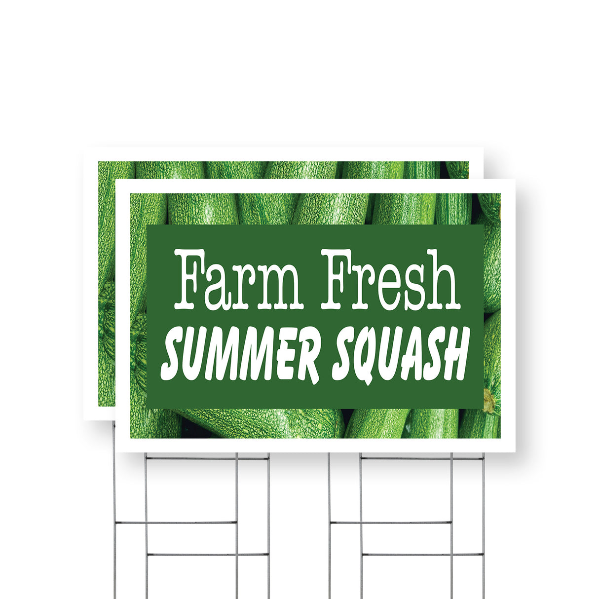 Farm Fresh Summer Squash