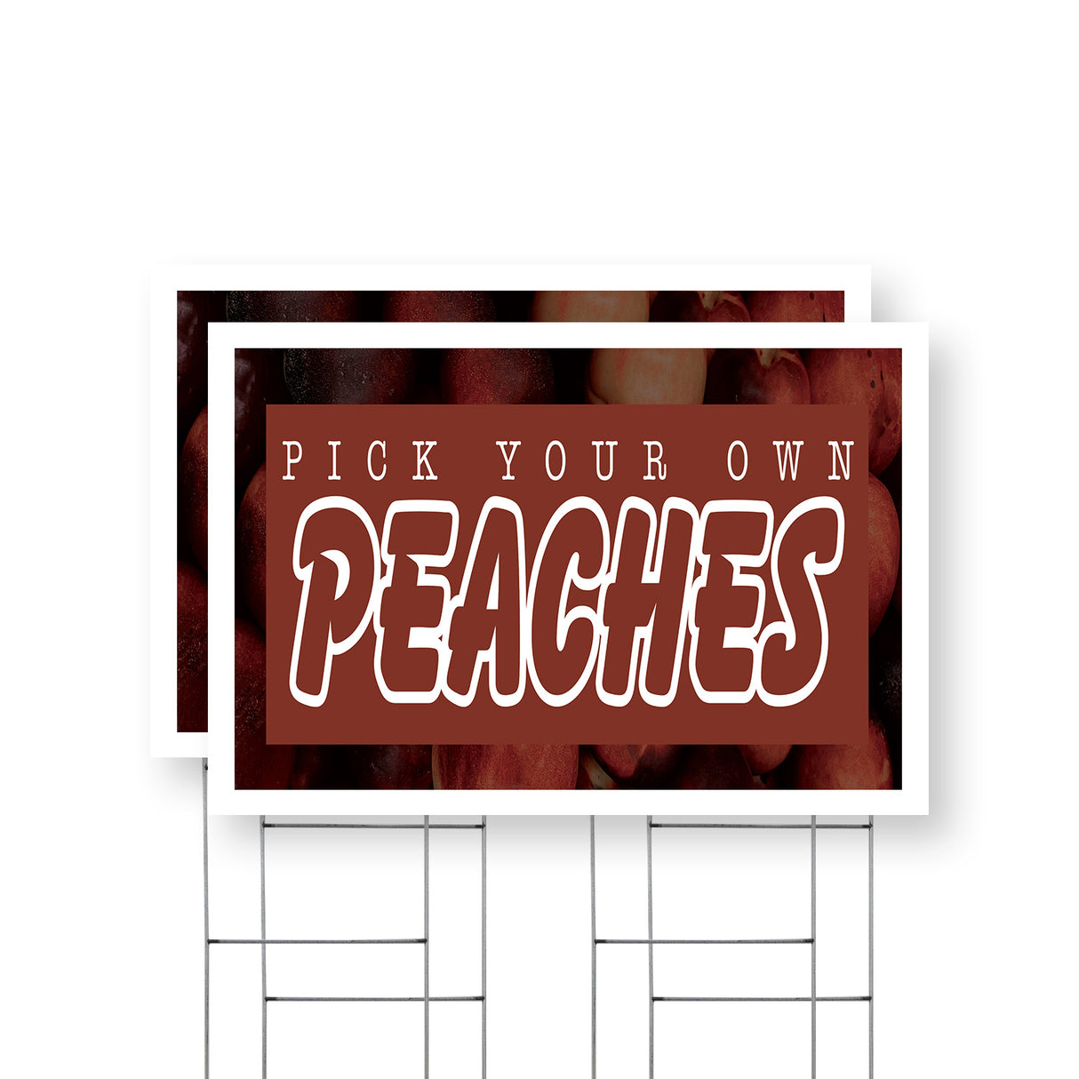 Pick Your Own Peaches