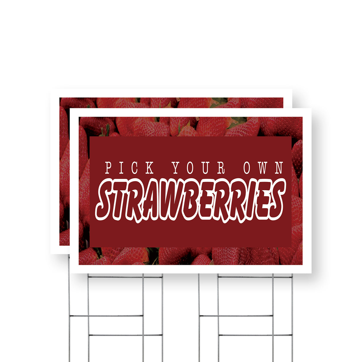 Pick Your Own Strawberries
