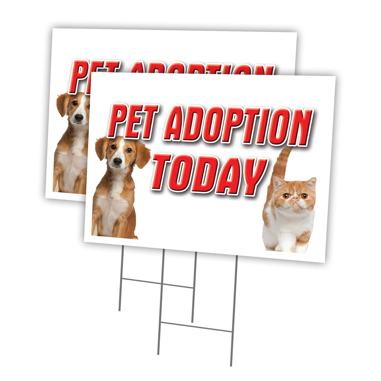 PET ADOPTION TODAY
