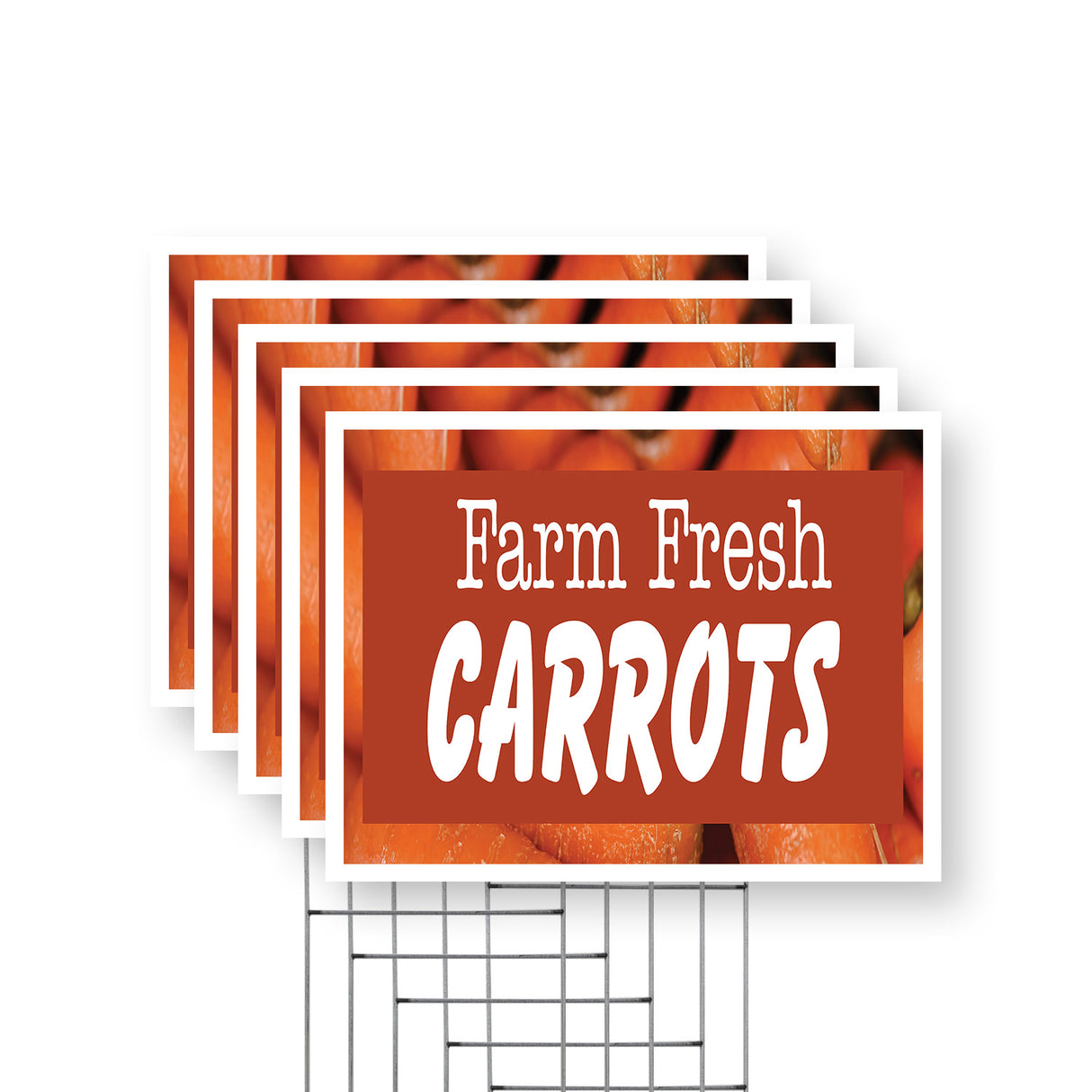 Farm Fresh Carrots