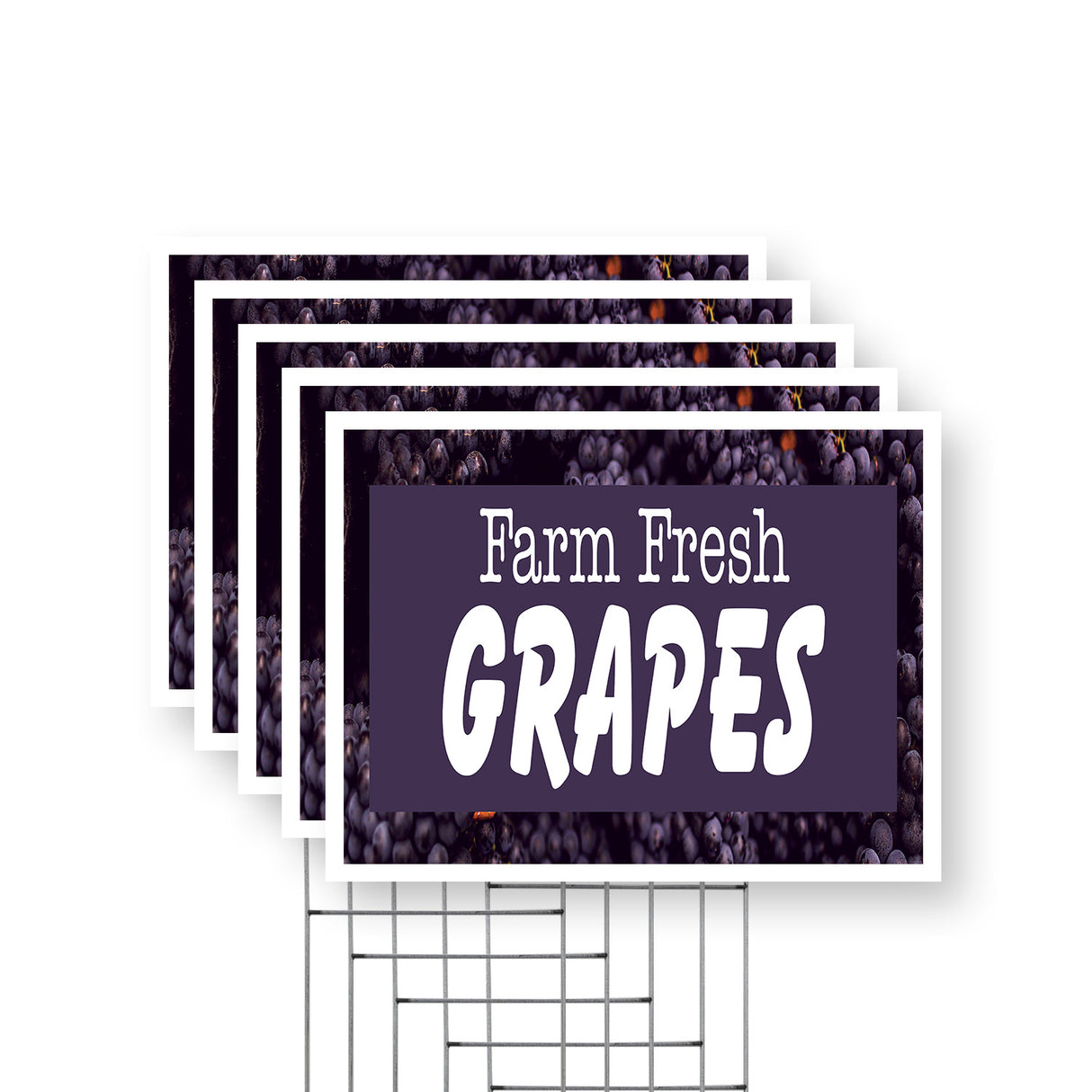Farm Fresh Grapes