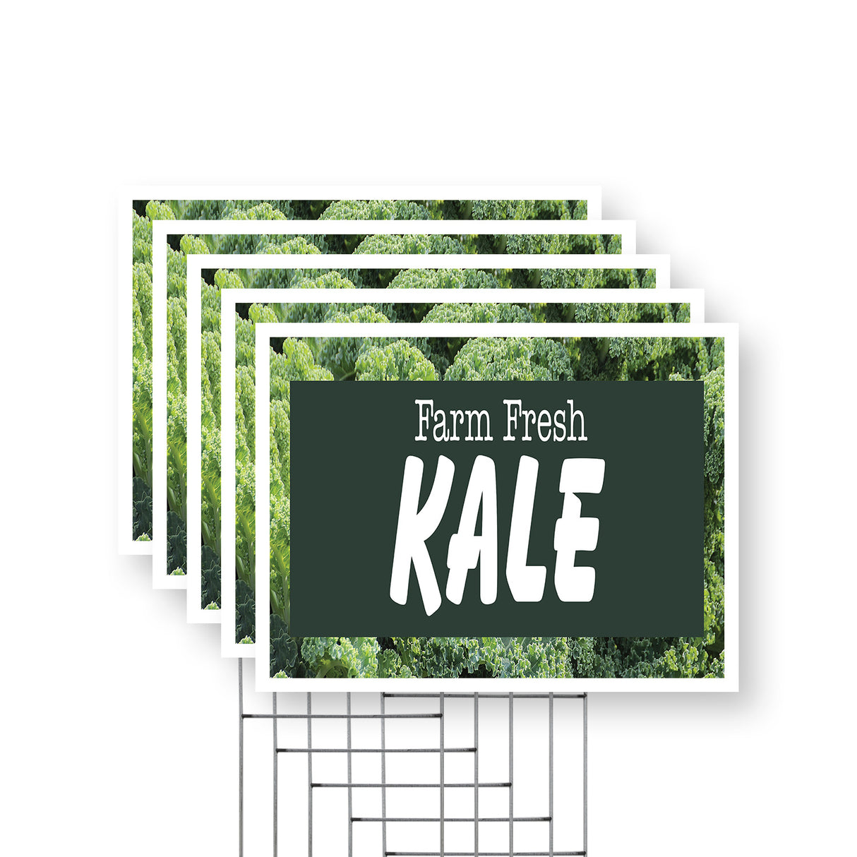 Farm Fresh Kale