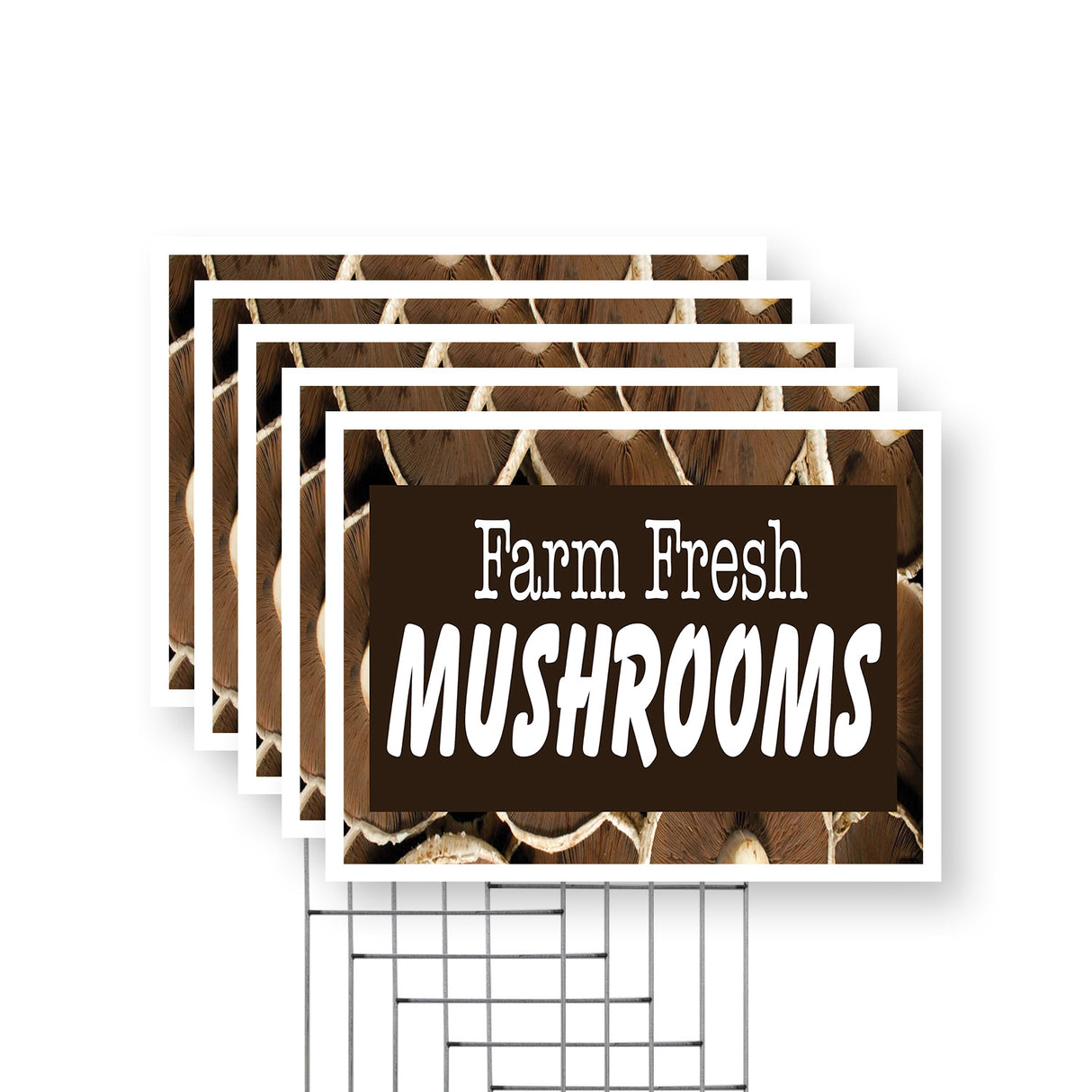 Farm Fresh Mushrooms