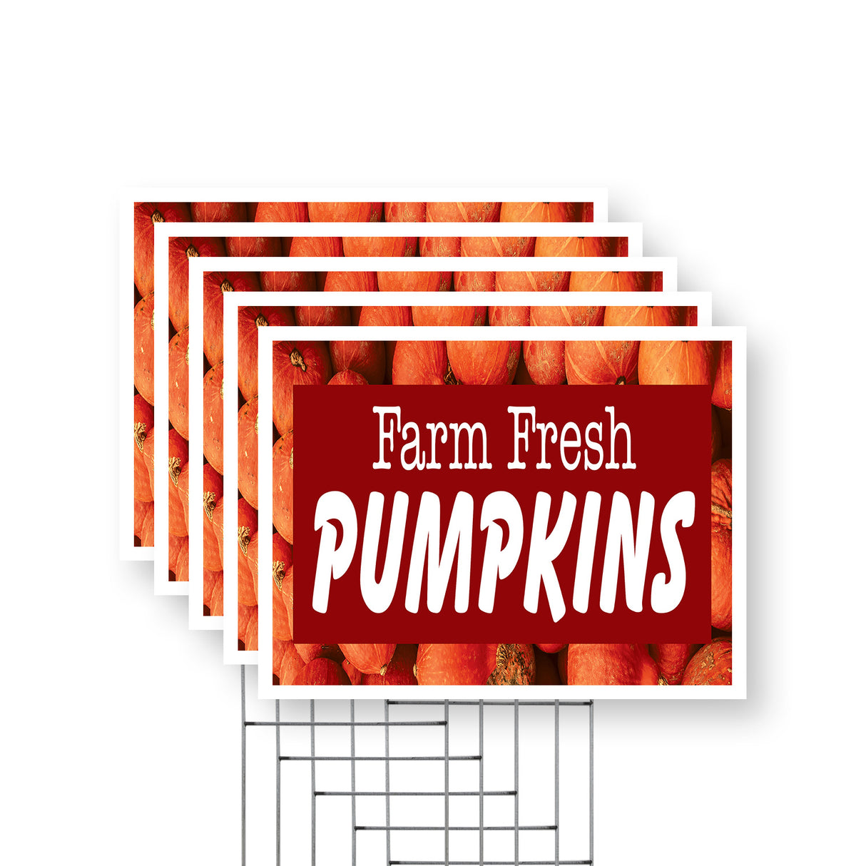Farm Fresh Pumpkins