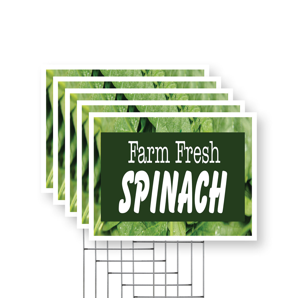 Farm Fresh Spinach