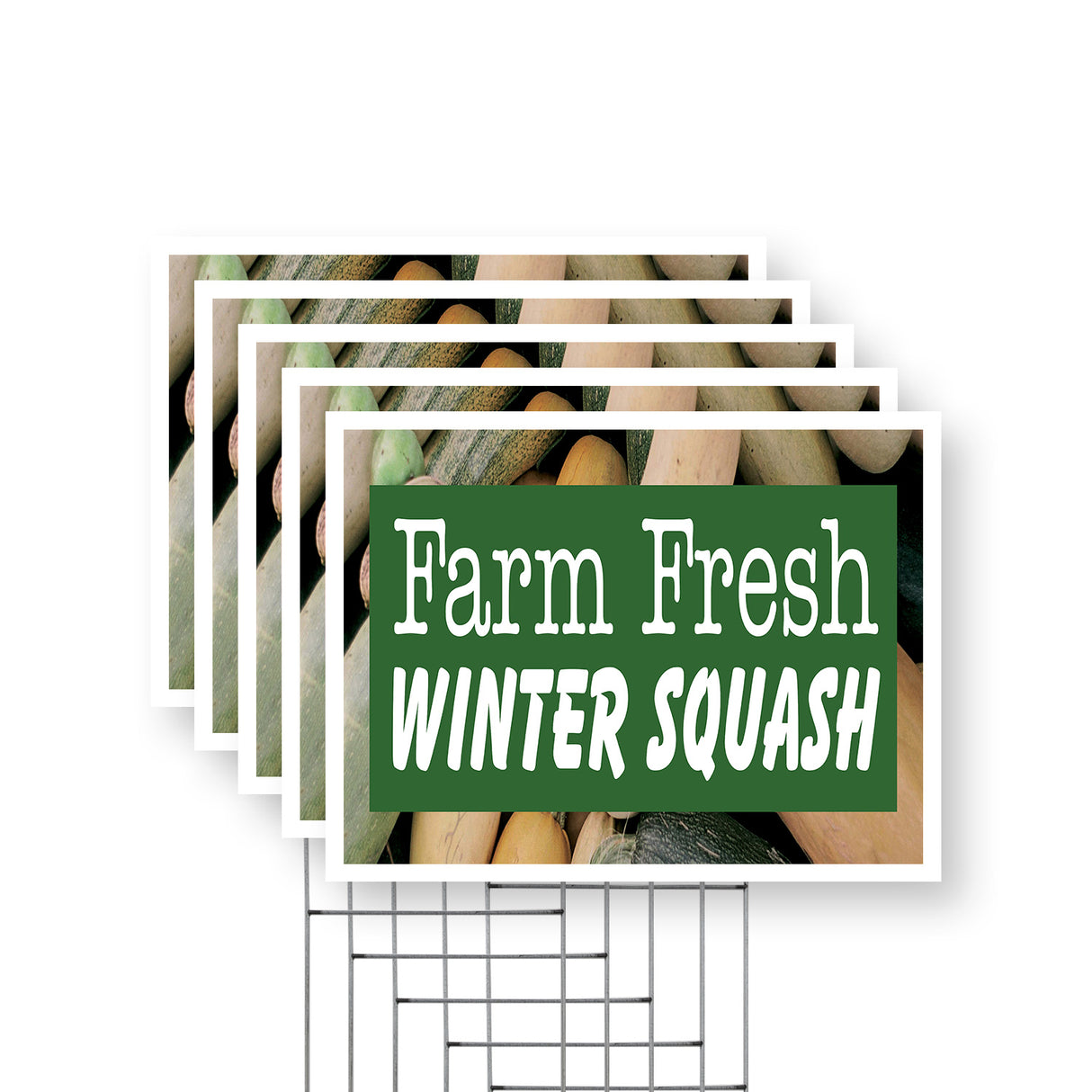 Farm Fresh Winter Squash