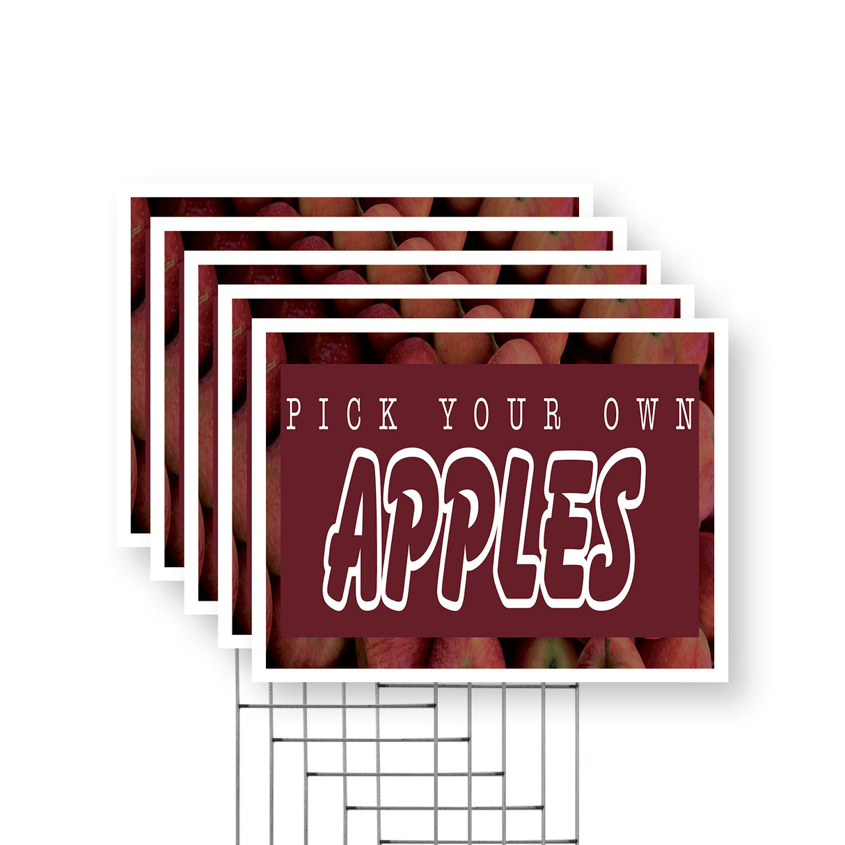 Pick Your Own Apples