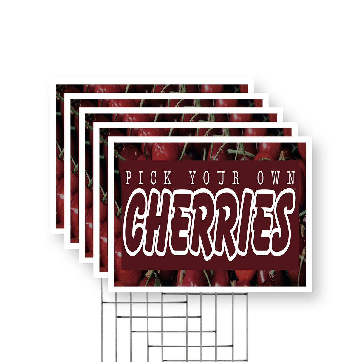 Pick Your Own Cherries