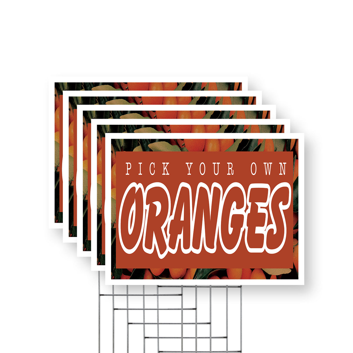 Pick Your Own Oranges