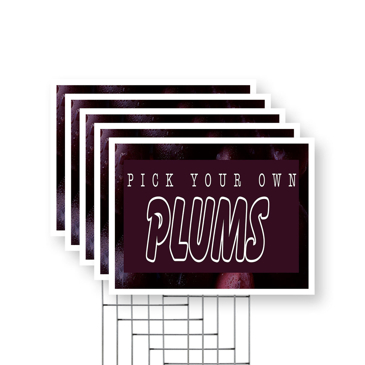 Pick Your Own Plums