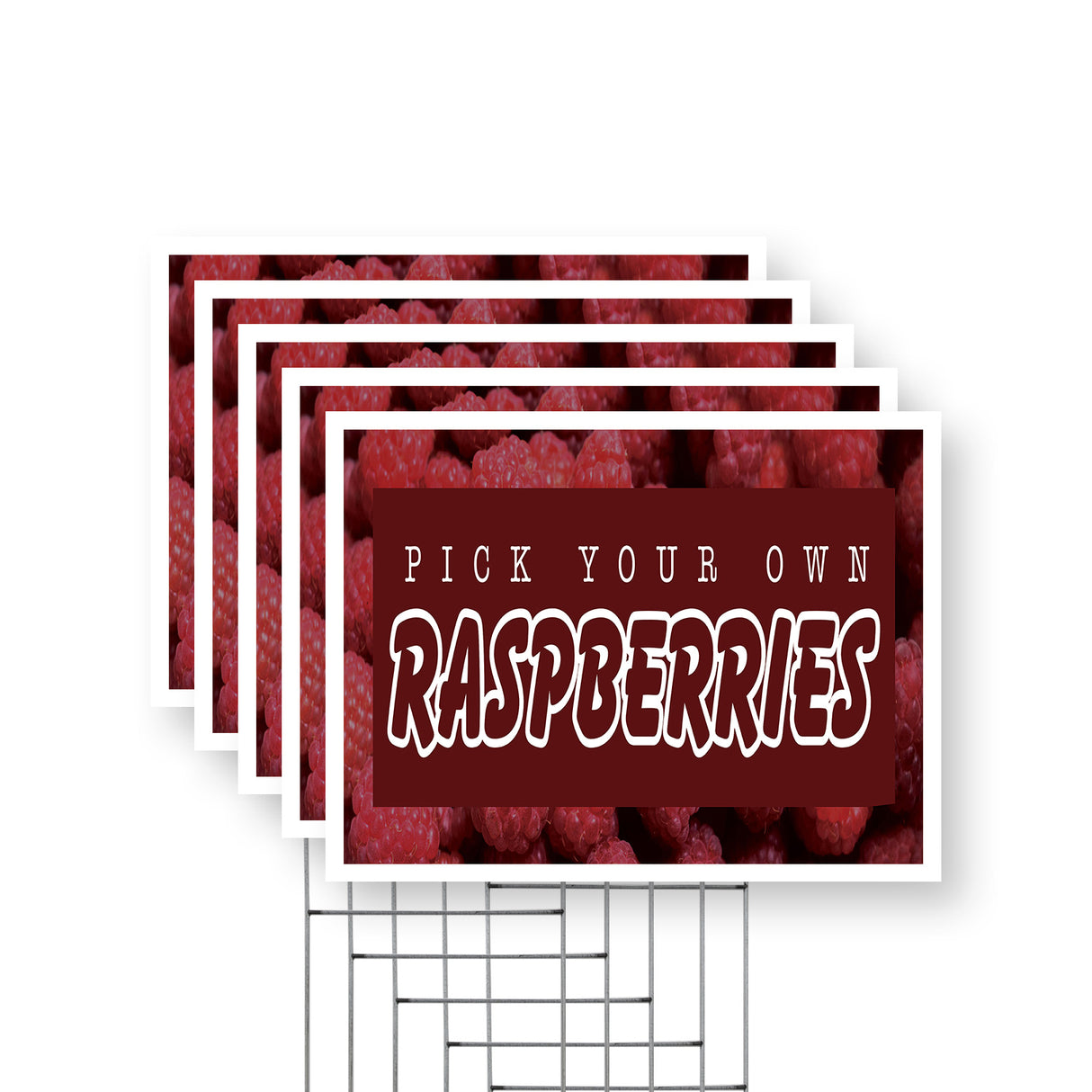 Pick Your Own Raspberries