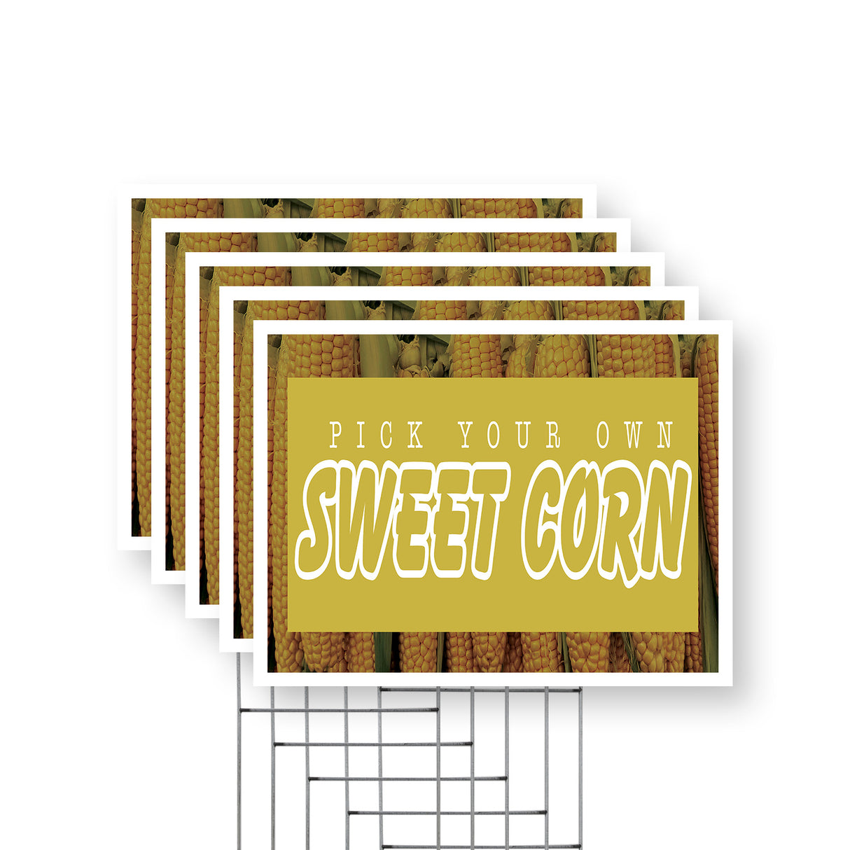 Pick Your Own Sweet Corn
