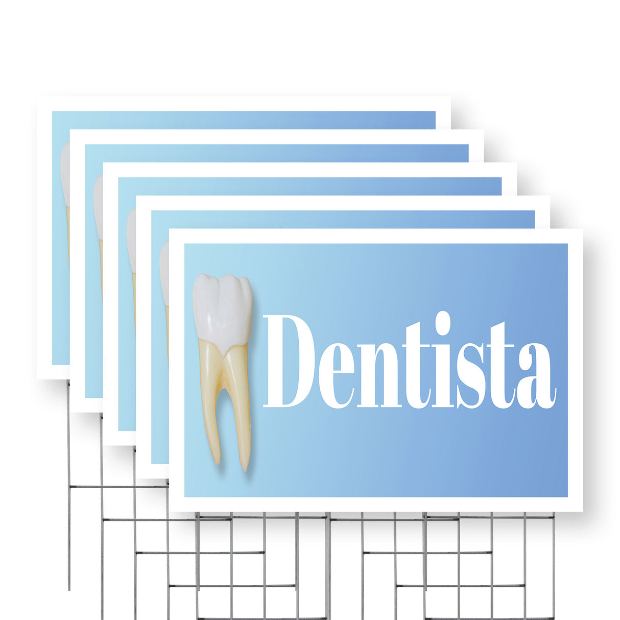 Dentista