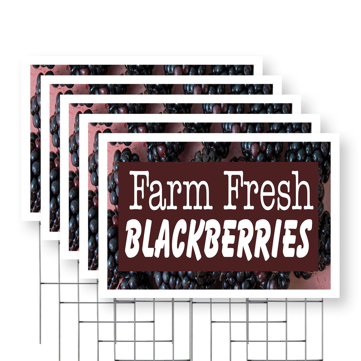 Farm Fresh Blackberries