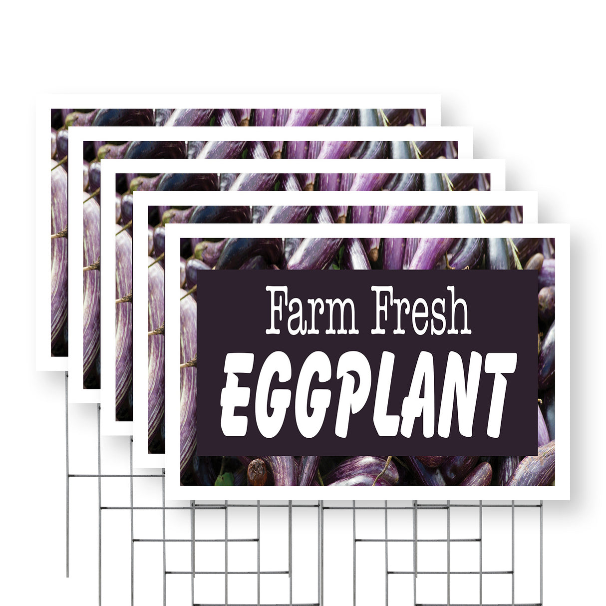 Farm Fresh Eggplant