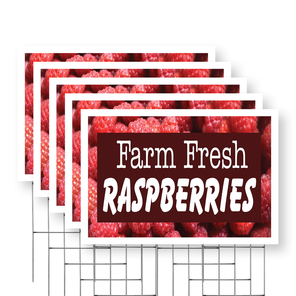 Farm Fresh Raspberries