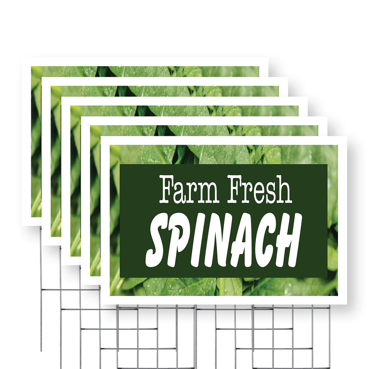 Farm Fresh Spinach