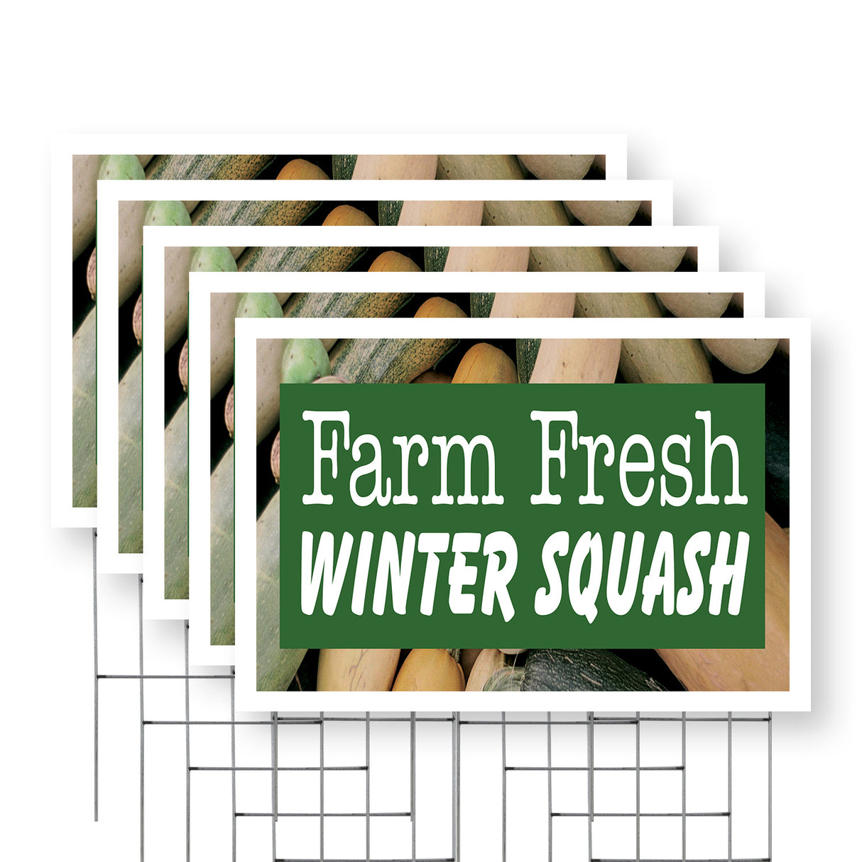 Farm Fresh Winter Squash