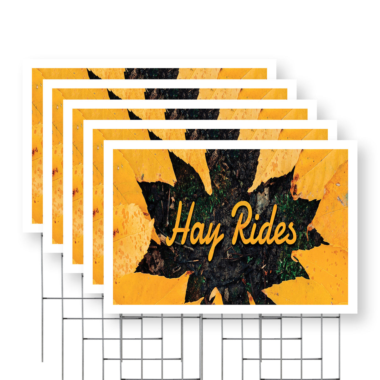 Hay Rides