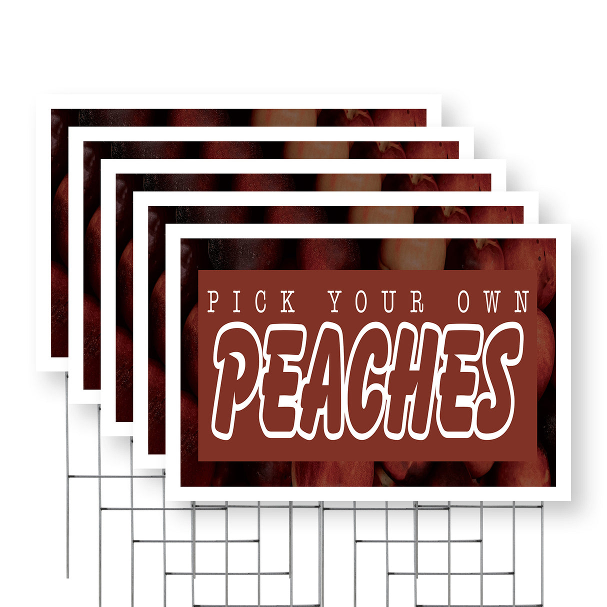 Pick Your Own Peaches