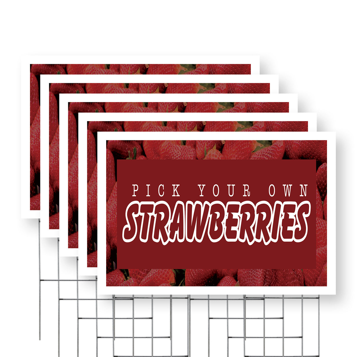 Pick Your Own Strawberries