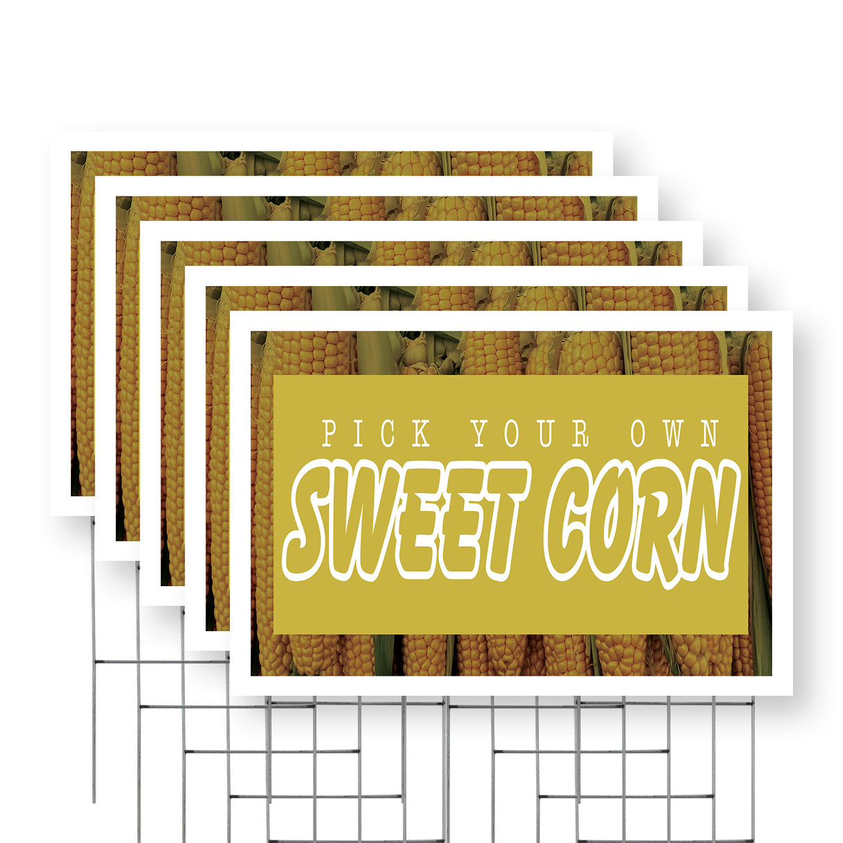 Pick Your Own Sweet Corn