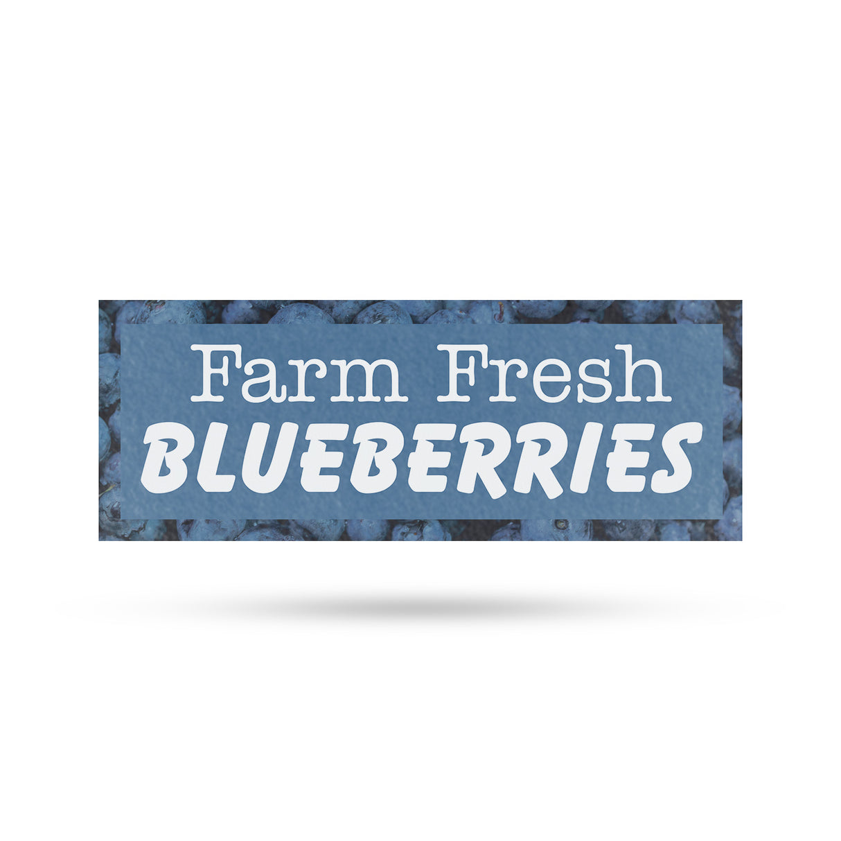 Farm Fresh Blueberries