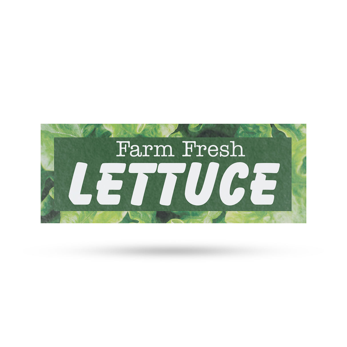 Farm Fresh Lettuce