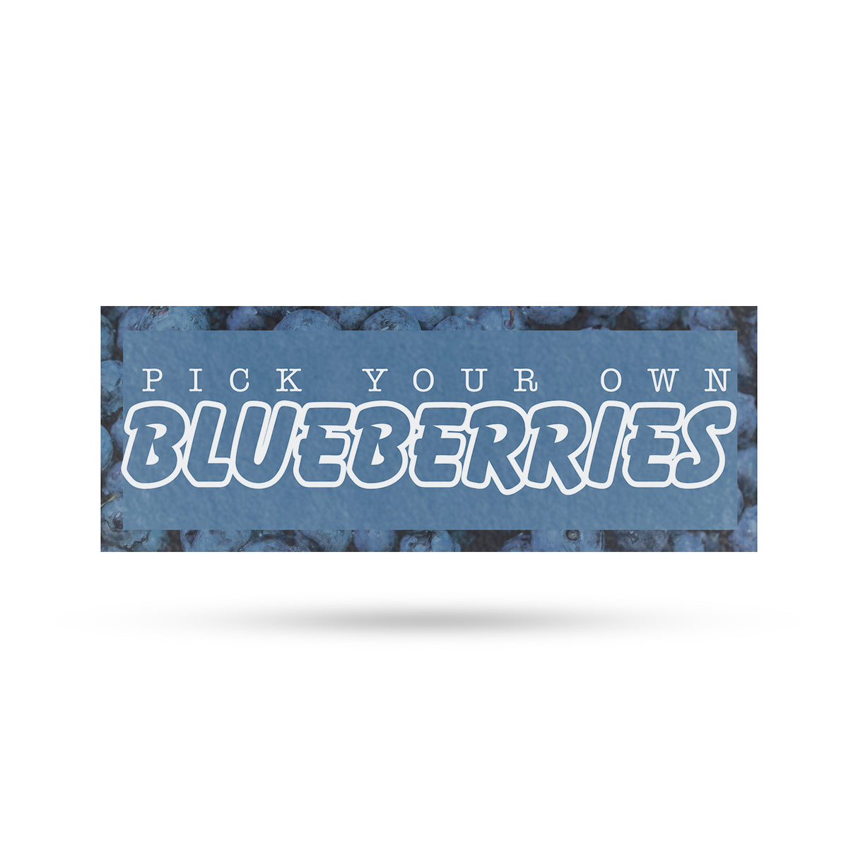 Pick Your Own Blueberries