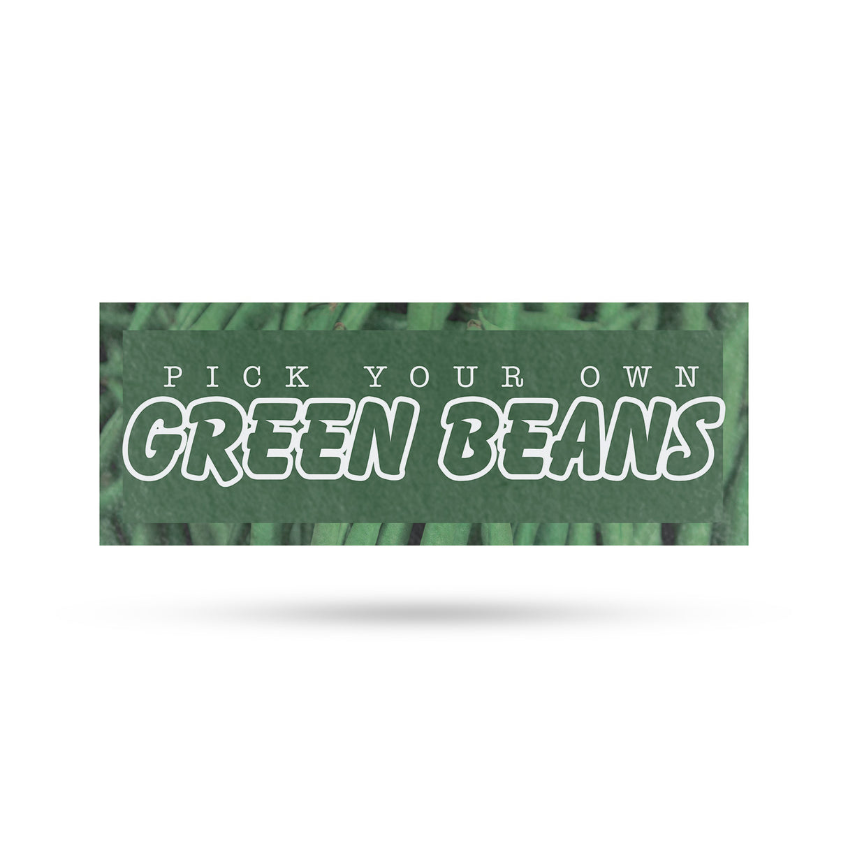 Pick Your Own Green Beans