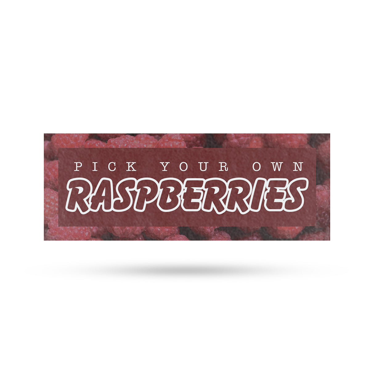 Pick Your Own Raspberries