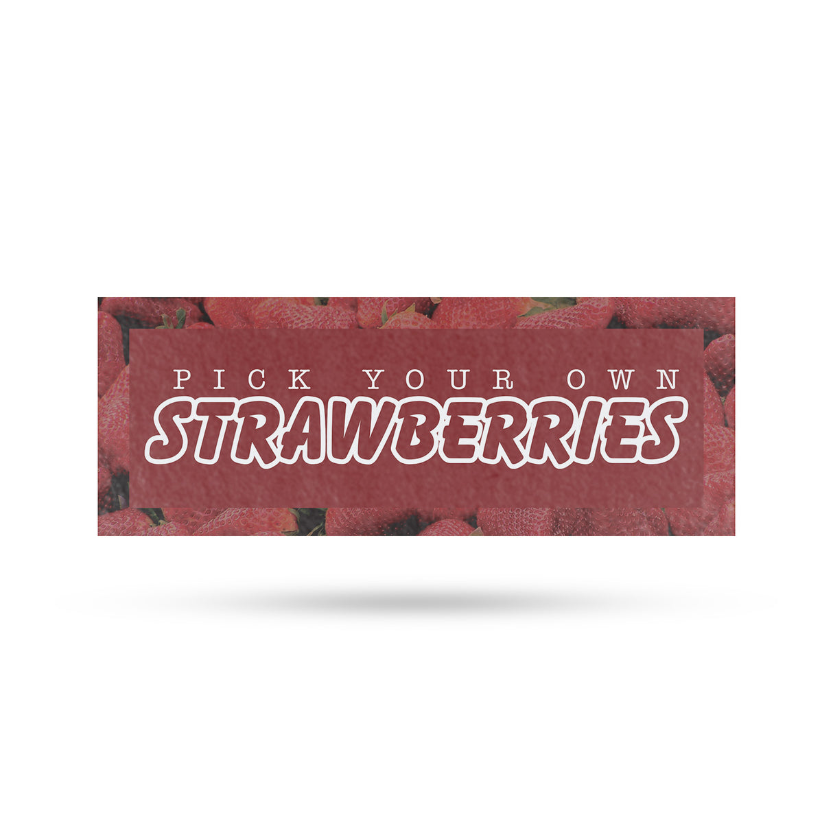 Pick Your Own Strawberries